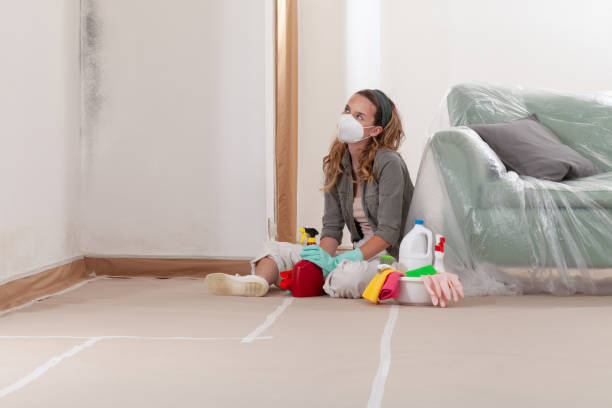 Reliable Attic Mold Removal contractor in Bunn, NC by WQB Mold Removal